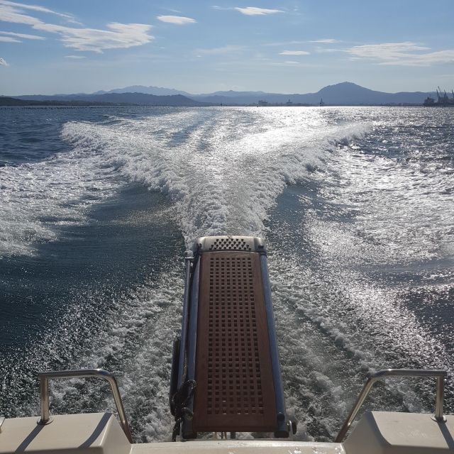 Exclusive Motor Boat Dolphins Watch - Location and Meeting Point