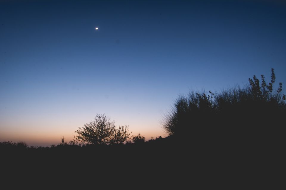 Exclusive Musical Evening in the Desert Luxury Camp - Key Points