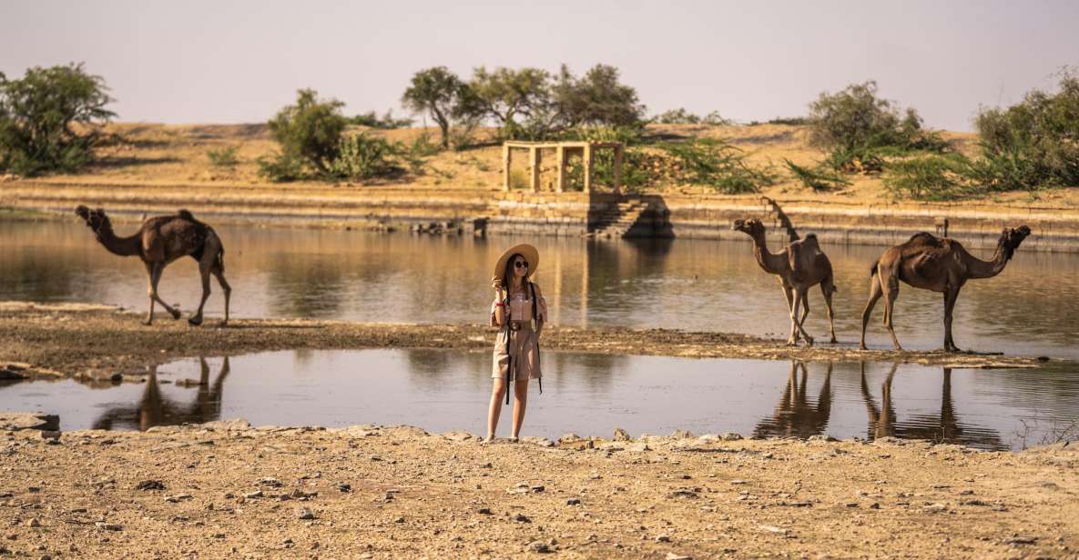 Exclusive Musical Evening in the Desert Luxury Camp - Whats Included