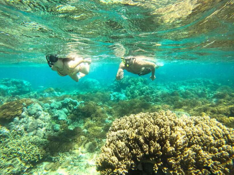 Exclusive One-Day Tour to Lombok's Pink Beach and 3 Gilis - Key Points