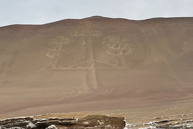 Exclusive Paracas, Vineyard and Huacachina Sunset Tour, Epic Day! - Itinerary Breakdown