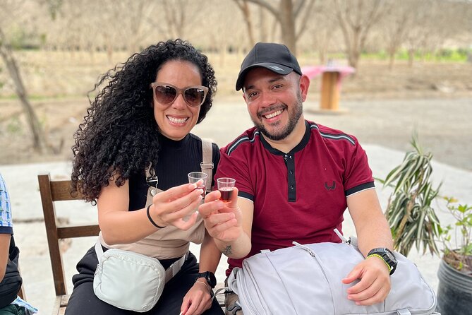 Exclusive Paracas, Vineyard and Huacachina Sunset Tour, Epic Day! - Vineyard Lunch and Tastings