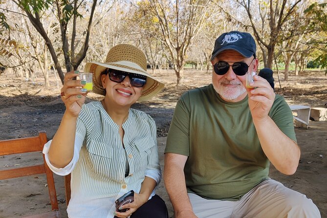 Exclusive Paracas, Vineyard and Huacachina Sunset Tour, Epic Day! - Dune Buggy Adventure