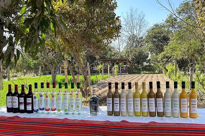 Exclusive Paracas, Vineyard and Huacachina Sunset Tour, Epic Day! - Health and Safety Guidelines