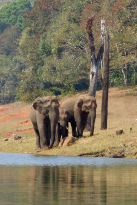 Exclusive Periyar Wildlife Sanctuary Tour(02 Nights/03 Days) - Included and Excluded