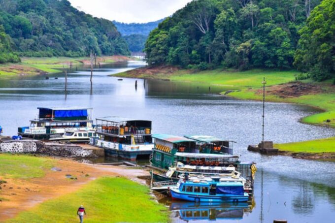 Exclusive Periyar Wildlife Sanctuary Tour(02 Nights/03 Days) - Sights and Experiences