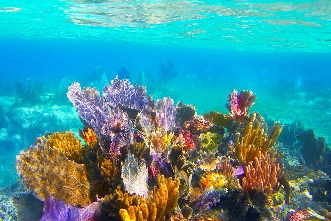 Exclusive Private Boat to El Cielo - Itinerary Breakdown: What You’ll Experience