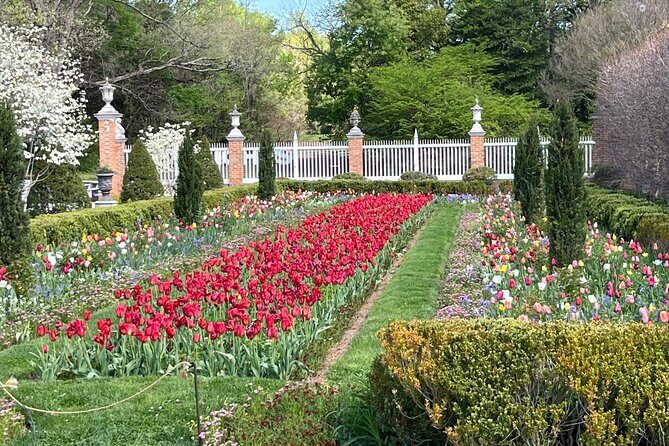 Exclusive Private Colonial Williamsburg Walking Tour by a Local - Setting the Stage: Starting at the Williamsburg Inn