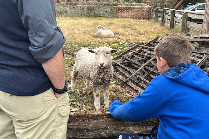 Exclusive Private Colonial Williamsburg Walking Tour by a Local - Exploring the Colonial Williamsburg Capitol Building