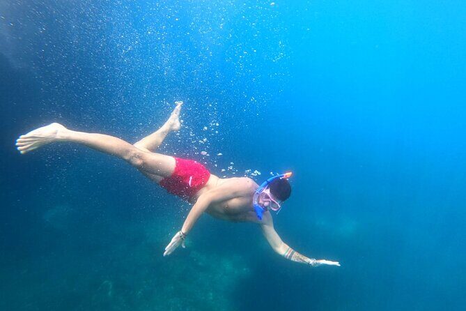 Exclusive private full day boat tour from Dubrovnik & Free drinks - Who Should Consider This Tour?