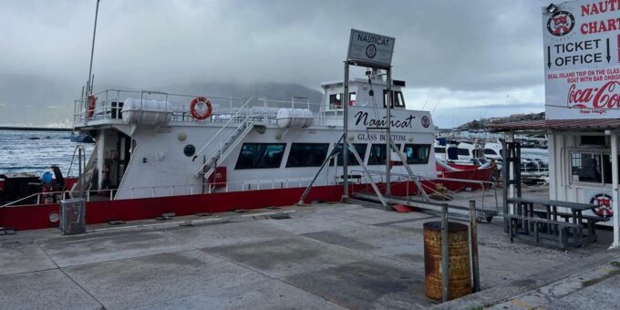 Exclusive Private Full-Day Cape Point and Peninsula Tour - The Sum Up