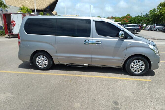 Exclusive Private Transfer: Punta Cana Airport to Bávaro Hotels - The Experience: What You Can Expect
