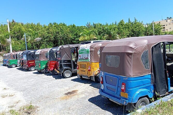 Exclusive Punta Cana Private City Tour - FAQ