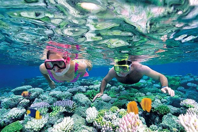 Exclusive Sailing Isla Mujeres. Top Tour ! ( No Hidden Fees) - Frequently Asked Questions