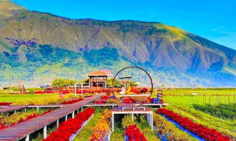 Exclusive Sembalun One-Day Tour: Nature and Scenic Wonders - Exploring the Tour Experience