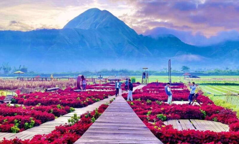 Exclusive Sembalun One-Day Tour: Nature and Scenic Wonders - FAQ