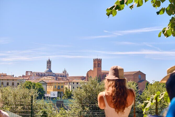 Exclusive Siena and San Gimignano Tour & Chianti Wine Experience - Final Thoughts