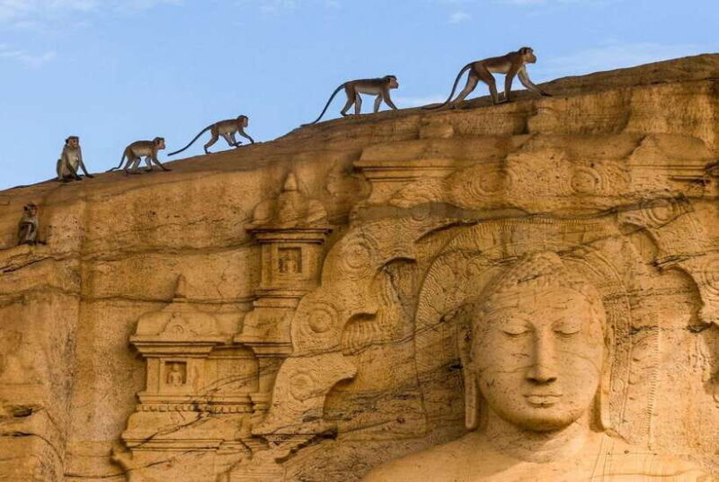 Exclusive : Sigiriya Fortress & Polonnaruwa Guided Tour - Exploring the UNESCO World Heritage Sites: An In-depth Look