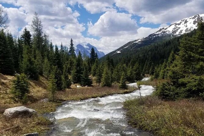 Exclusive Skoki Backcountry Guided Hiking in Lake Louise With Van Shuttle - Breathtaking Scenery