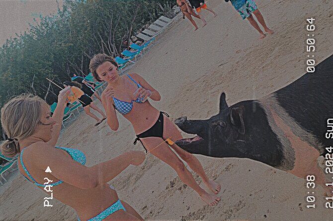 Exclusive Snorkeling and Secluded Beach Day - The Sum Up