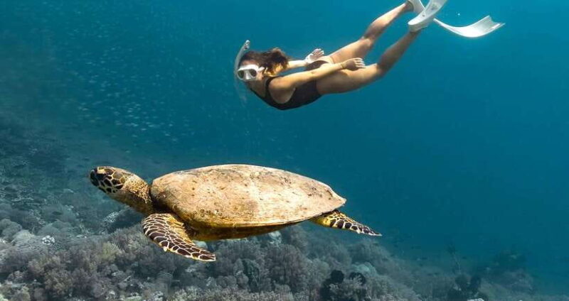 Exclusive Snorkeling Experience to Gili Gede and 4 Gilis - Key Points