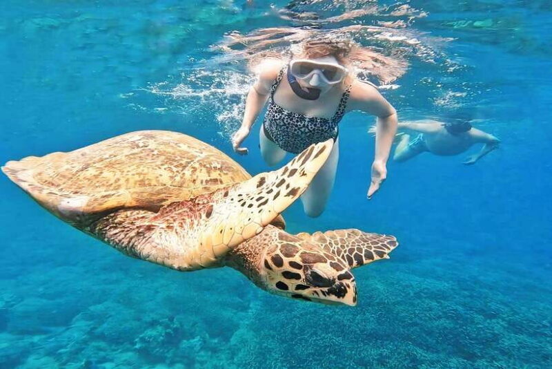 Exclusive Snorkeling Experience to Gili Gede and 4 Gilis - Who Should Book This Tour?