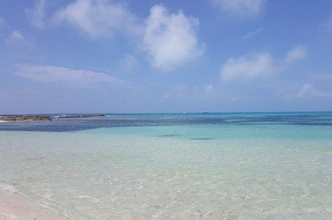 Exclusive Supreme Snorkeling Tour - The Practical Side: Logistics, Costs, and What to Expect