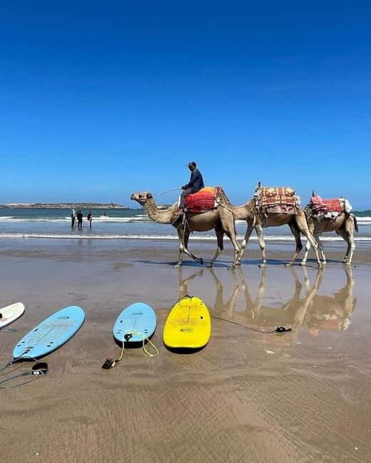 Exclusive Tangier Day Tour from Tarifa To Tanger with Tea - Final Thoughts: Is This Tour Right for You?  