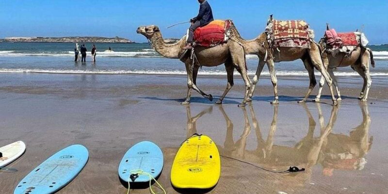 Exclusive Tangier Day Tour From Tarifa With Tea - Scenic Ferry Ride and Cultural Immersion