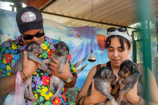 Exclusive Tour in Teotihuacan, Breakfast in the Cave and CDMX pick-up - Why Choose This Tour? A Deep Dive Into the Experience