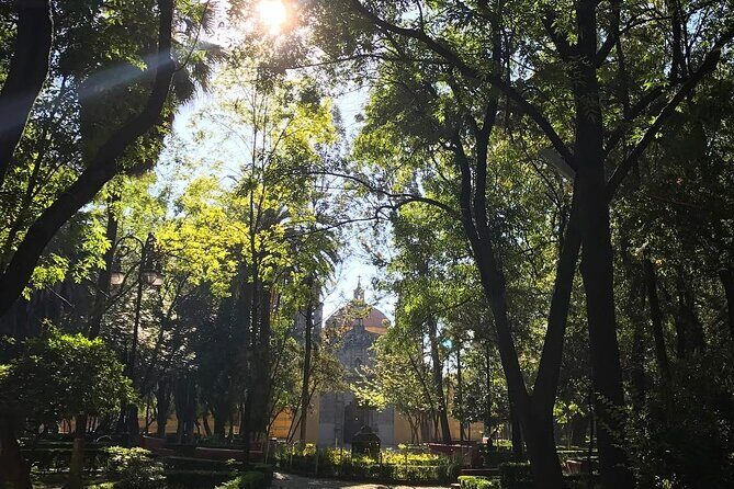 EXCLUSIVE TOUR of the Old Quarter of Coyoacan - small groups - Discovering the Charm of Coyoacán: A Walk Through Mexico City’s Artistic Heart
