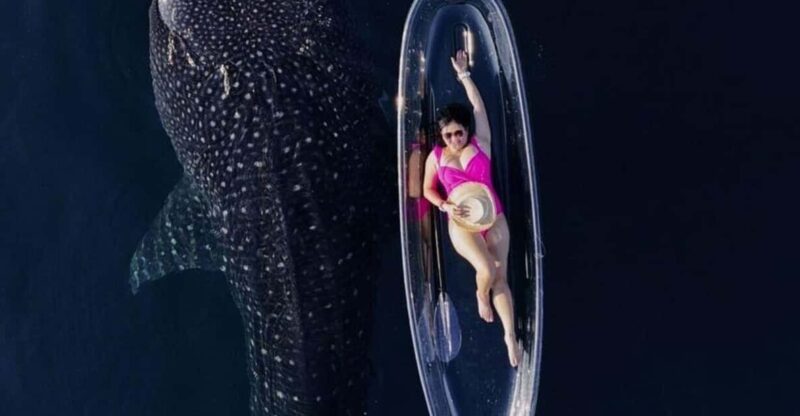 EXCLUSIVE TOUR WHALE SHARK 4D3N INCLUDE DRONE - Itinerary Highlights