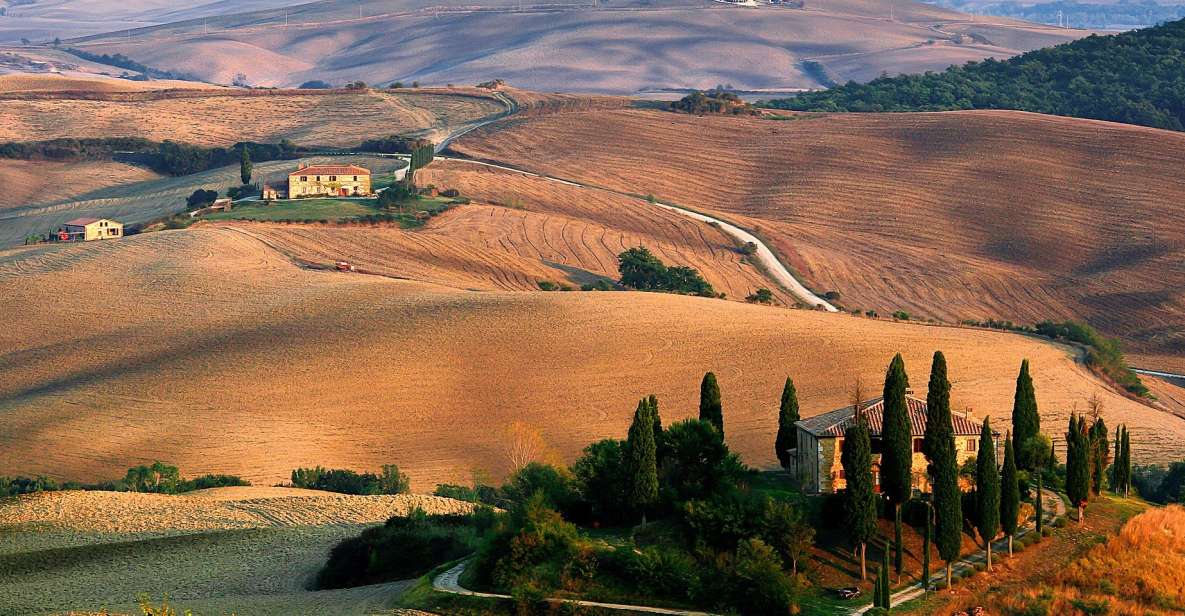Exclusive Val dOrcia Full-Day Wine Tour from Florence - Who is this tour best suited for?