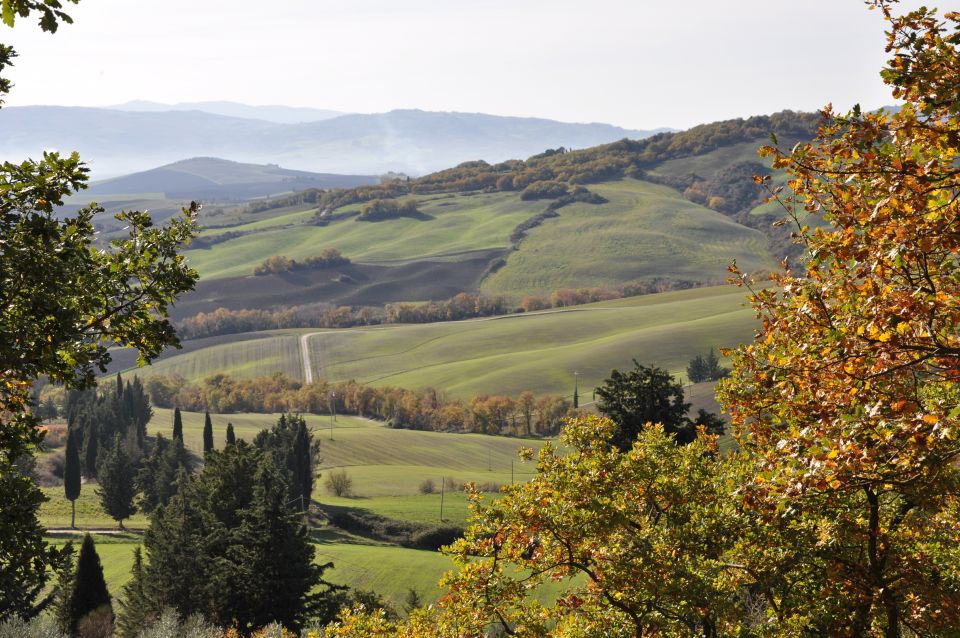 Exclusive Val dOrcia Full-Day Wine Tour from Florence - Key Points