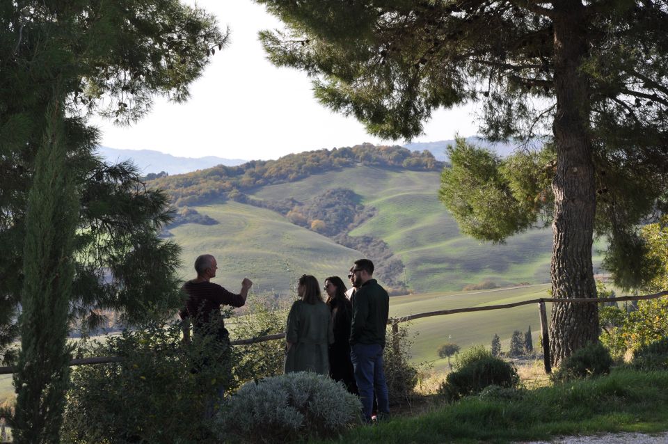 Exclusive Val dOrcia Full-Day Wine Tour from Florence - Who Will Love This Tour?