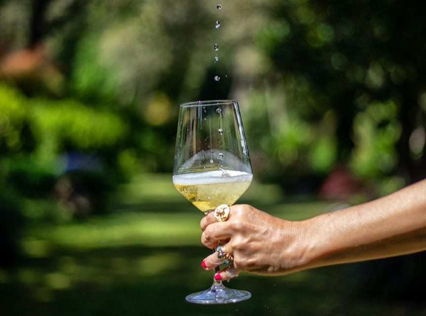 Exclusive Vinho Verde (Green Wine) experience & lunch - The Journey Through Portugal’s Lesser-Known Vinho Verde Region