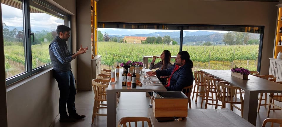 Exclusive Vinho Verde (Green Wine) experience & lunch - Frequently Asked Questions