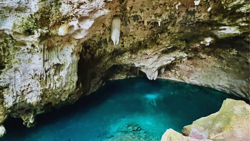 Exclusive VIP Excursion: Santo Domingo from Punta Cana Private Service - Authenticity and Critiques