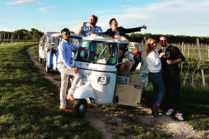 Exclusive VIP Top 10 Tour Vienna in Tuk Tuk - Option for Food and Wine