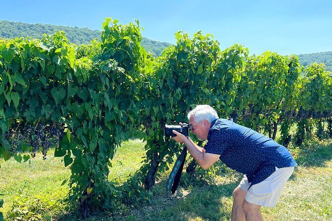 Exclusive Virginia Wine Country Day Trip Tour - What Travelers Are Saying