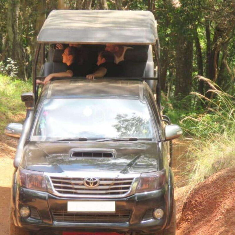 Exclusive : Wildlife Full Day Adventure in Wilpattu - What Sets This Tour Apart?