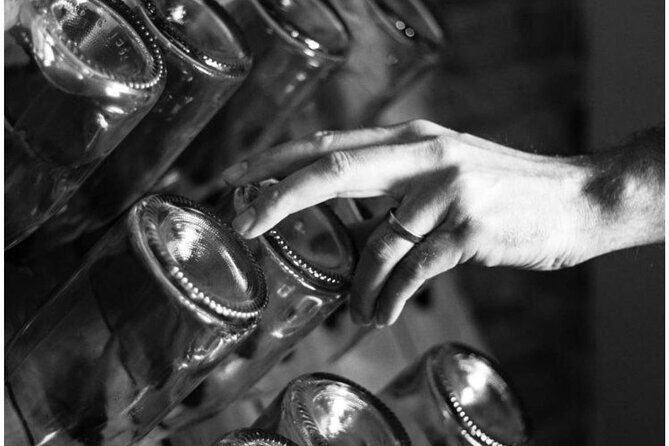 Exclusive Wine Tasting in the Historic Center of Siena - Who Will Love This Tour?