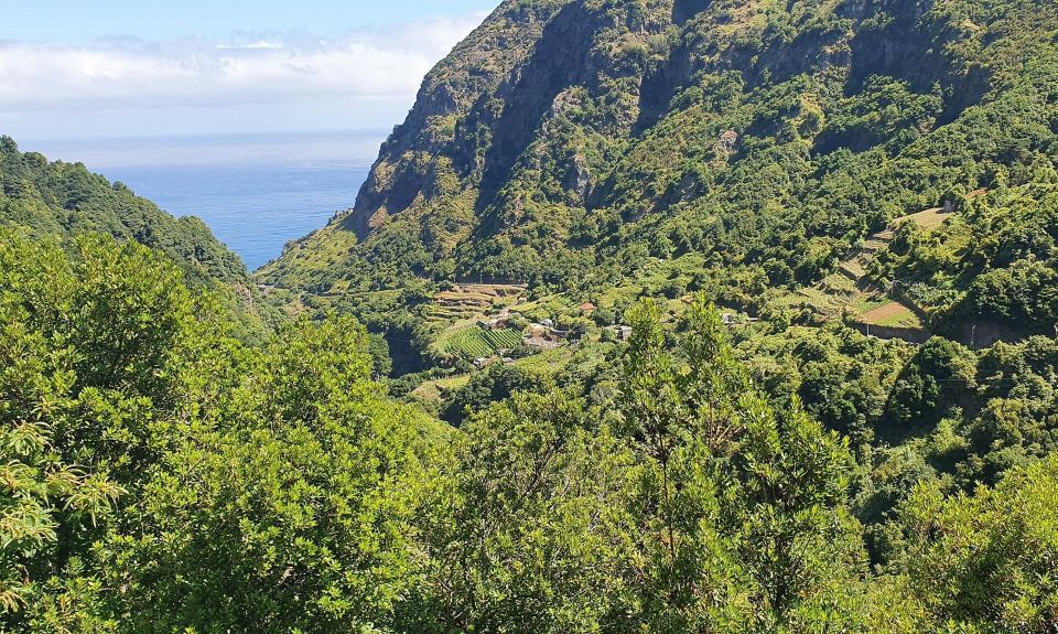 Exclusive Wine Tasting Tour in the Wine Region of Boaventura - Whats Included in the Experience