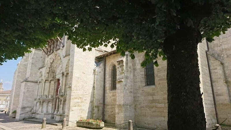 Exclusive Wine Tour of the St-Émilion Chateaux with tastings - Key Points