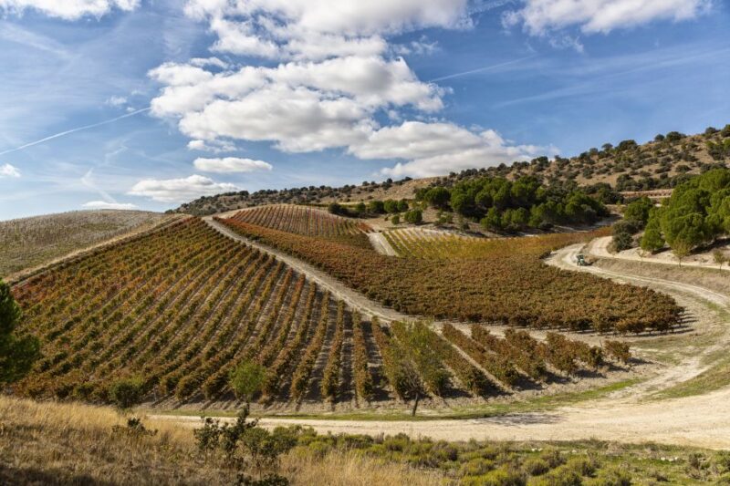 Exclusive Winery Tour and Tasting in the Golden Mile - Tasting Experience