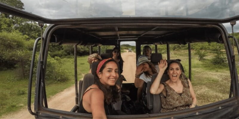 Exclusive : Yala National Park Afternoon Expedition - Transportation and Practicalities