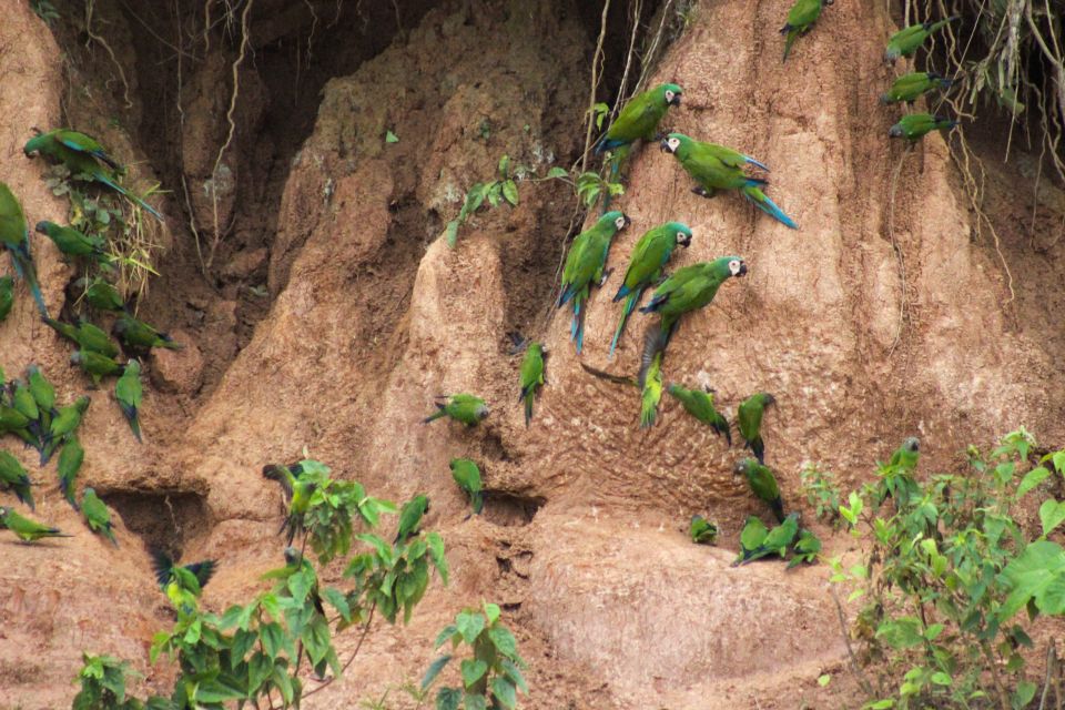 Excursion 3 Days/2 Nights in the Jungle - Key Points