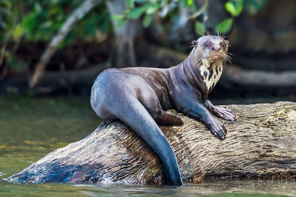 Excursion 3 Days/2 Nights in the Jungle - Excursion Highlights
