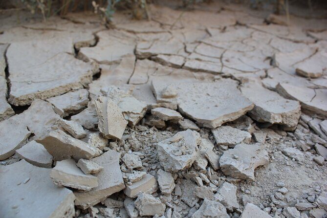 Excursion by car with official guide in Bardenas Reales - In The Sum Up