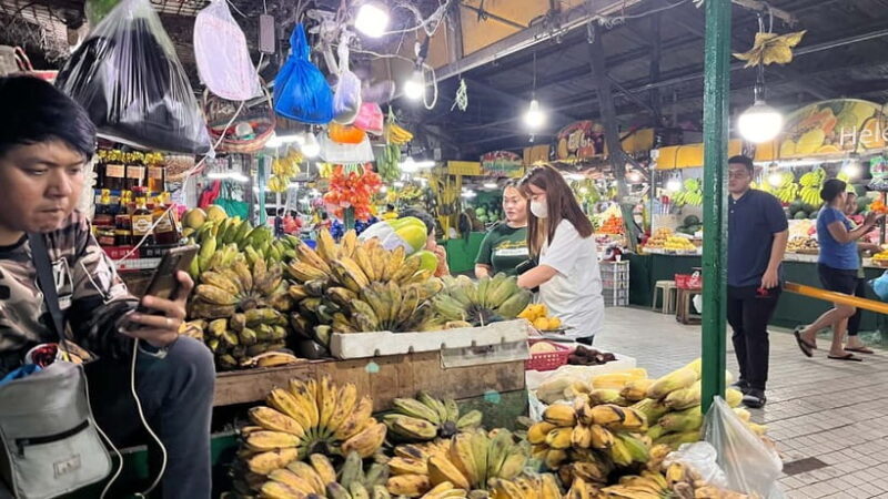 (Excursion) Day tour in Manila - Frequently Asked Questions (FAQs)